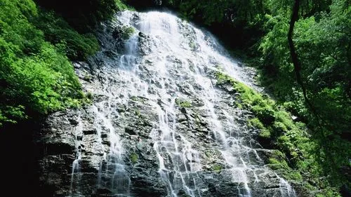 精密可靠性